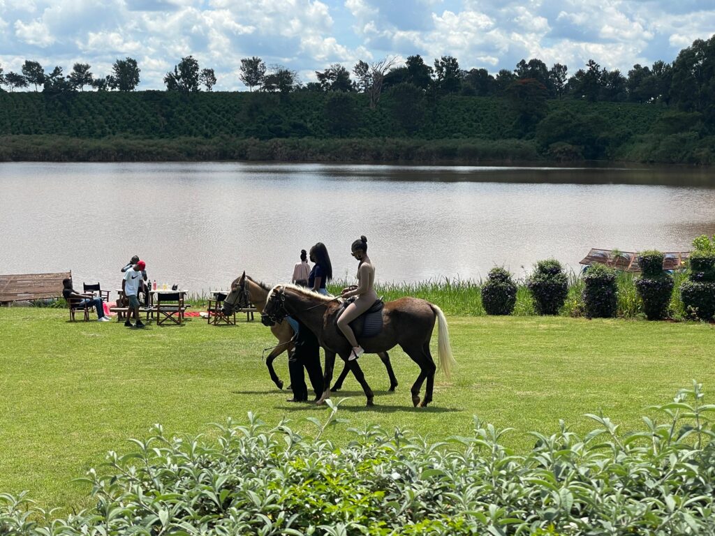 Horse riding at Paradise Gardens