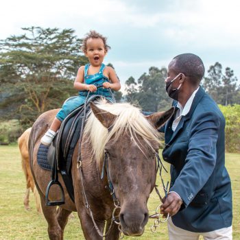 Paradise GardensHorse Riding Tours